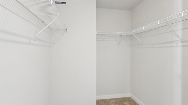 699 Olivia St, Collier Twp, PA 15205 - walk in closet with carpet floors