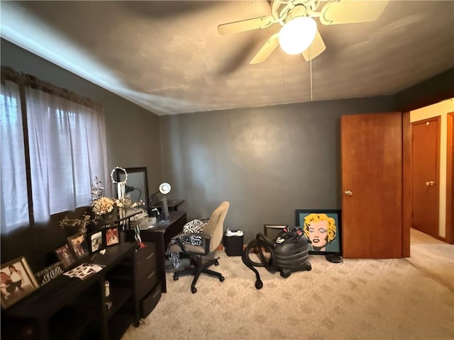 201 Lebanon Manor Dr, West Mifflin, PA 15122 - office space with carpet flooring and a ceiling fan