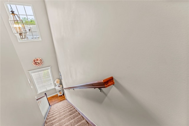 210 Brae Glen Dr, North Strabane, PA 15317 - staircase with baseboards and carpet flooring