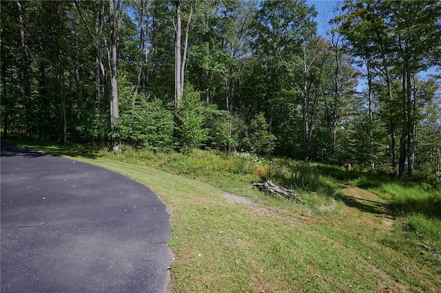 222 Morrissey Adams Rd, North-Other Area, PA 16239 - photo 6