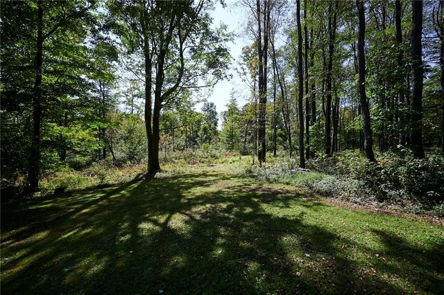 222 Morrissey Adams Rd, North-Other Area, PA 16239 - photo 42