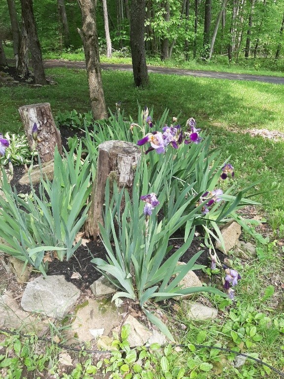 222 Morrissey Adams Rd, North-Other Area, PA 16239 - photo 46
