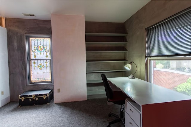 6542 Dalzell Pl, Squirrel Hill, PA 15217 - office area featuring plenty of natural light and carpet flooring