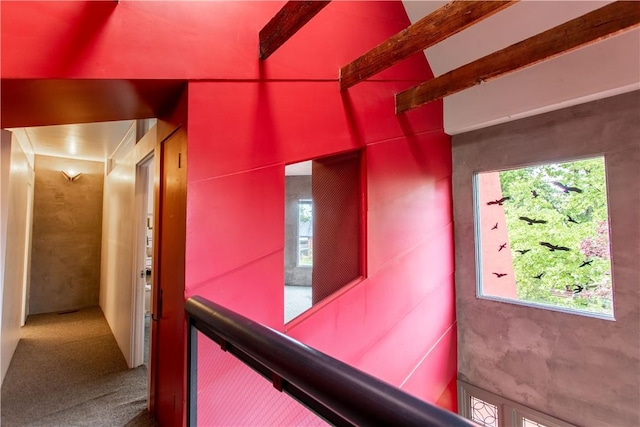 6542 Dalzell Pl, Squirrel Hill, PA 15217 - hallway featuring carpet floors