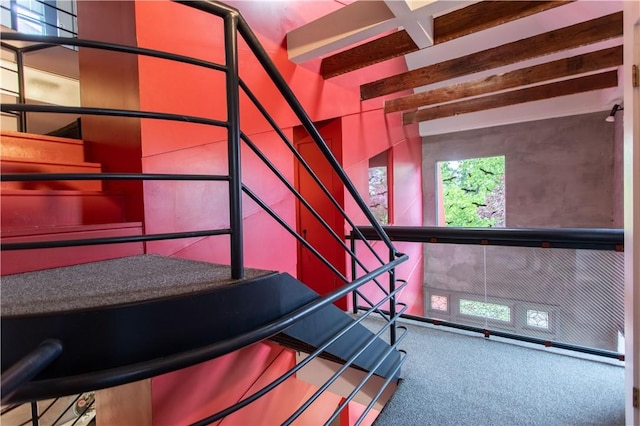6542 Dalzell Pl, Squirrel Hill, PA 15217 - stairway featuring carpet