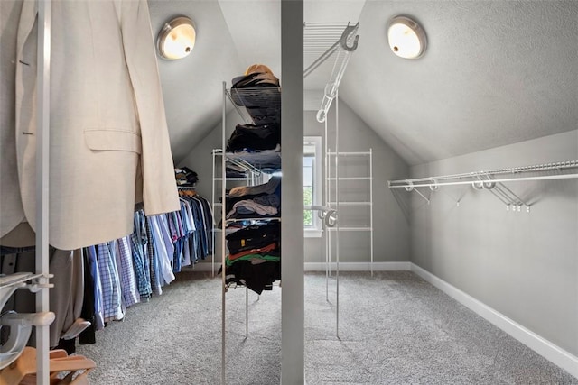 301 Chinquapin Ln, Marshall, PA 15090 - spacious closet featuring lofted ceiling and carpet floors