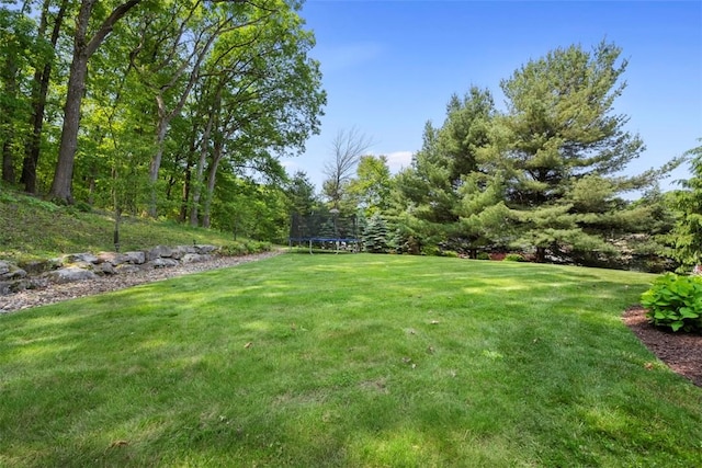 301 Chinquapin Ln, Marshall, PA 15090 - view of grassy yard featuring a trampoline