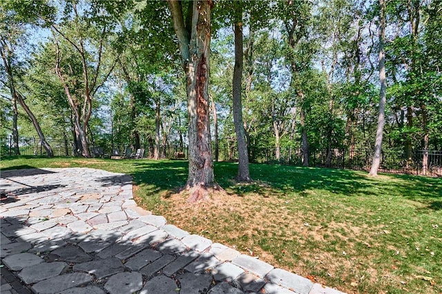 510 Fair Vista Ct, Pine Twp Nal, PA 15090 - view of yard with a patio area