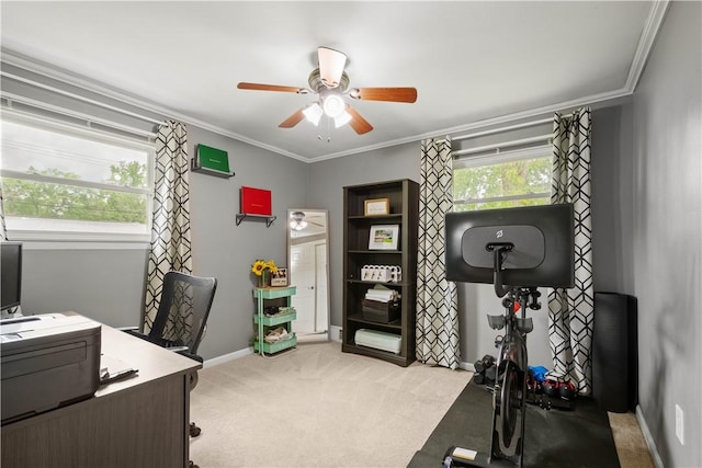 25 Rolling Rd, Cranberry Twp, PA 16066 - office space with a ceiling fan, light colored carpet, ornamental molding, and baseboards