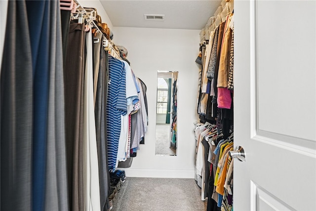 342 Saddlebrook Rd, West Deer, PA 15044 - spacious closet featuring carpet floors