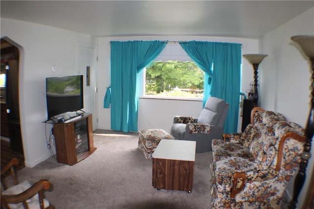 84 Pennsylvania Ave, Monessen, PA 15062 - living area with carpet flooring and arched walkways