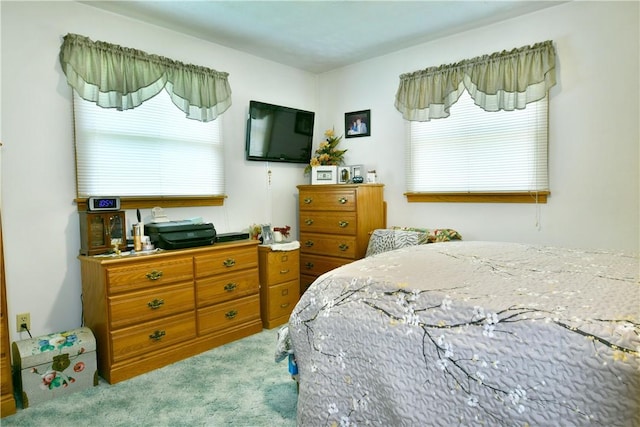 3062 Longview Rd, Hermitage, PA 16148 - bedroom featuring carpet floors and multiple windows