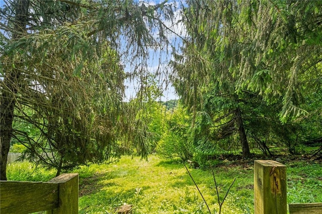 308 Cypress St, Rostraver, PA 15089 - view of yard