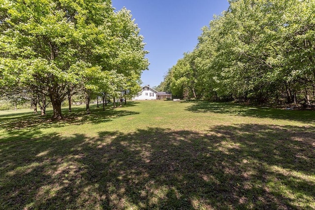 508 Meadow St, North Union Twp, PA 15401 - view of grassy yard