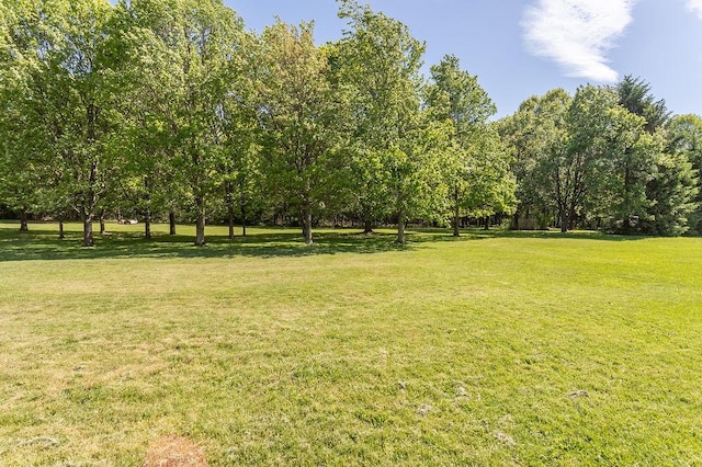 508 Meadow St, North Union Twp, PA 15401 - view of green lawn
