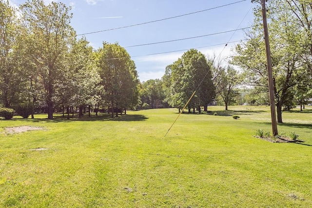 508 Meadow St, North Union Twp, PA 15401 - view of property's community featuring a lawn