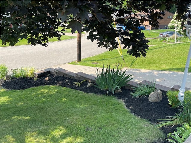 10 Claireview Dr, Carnegie, PA 15106 - view of grassy yard