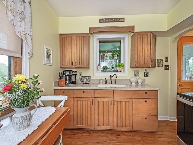 118 Judith Dr, Peters Twp, PA 15367 - kitchen featuring a sink, arched walkways, wood finished floors, and light countertops
