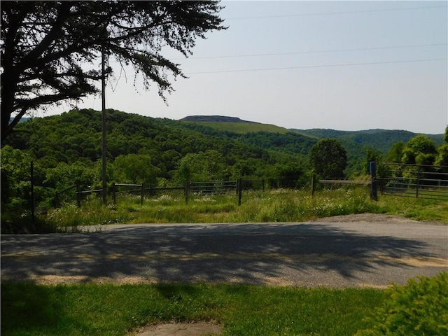 309 Mooney Ridge Rd, Waynsbrg/Frankln Twp, PA 15370 - view of mountain backdrop featuring a heavily wooded area and rural landscape
