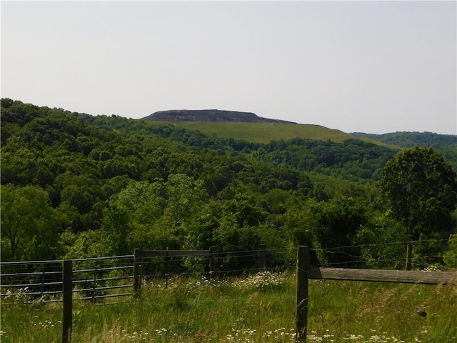 309 Mooney Ridge Rd, Waynsbrg/Frankln Twp, PA 15370 - mountain view with a forest