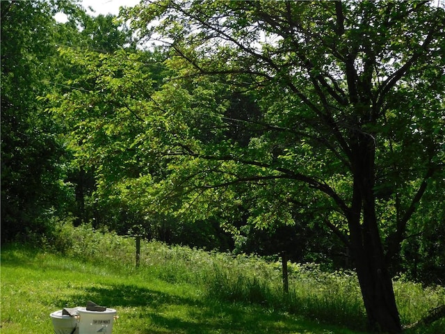 309 Mooney Ridge Rd, Waynsbrg/Frankln Twp, PA 15370 - view of wooded area
