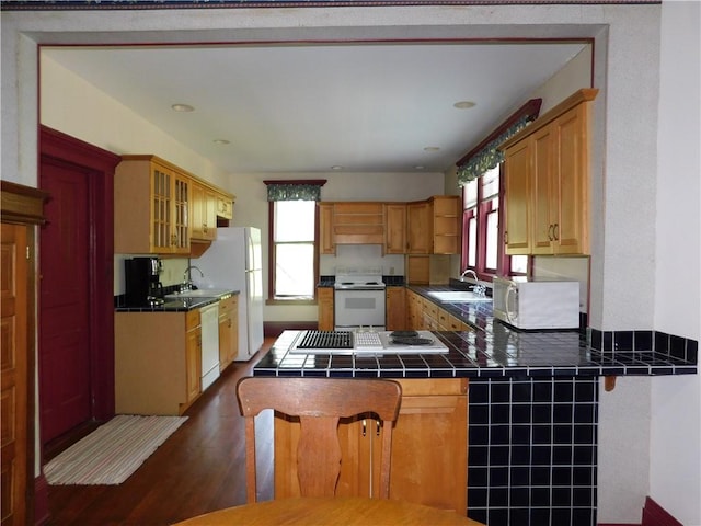 309 Mooney Ridge Rd, Waynsbrg/Frankln Twp, PA 15370 - kitchen with white appliances, a sink, tile counters, dark wood-type flooring, and open shelves