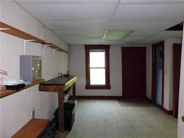 309 Mooney Ridge Rd, Waynsbrg/Frankln Twp, PA 15370 - basement featuring carpet floors and a paneled ceiling