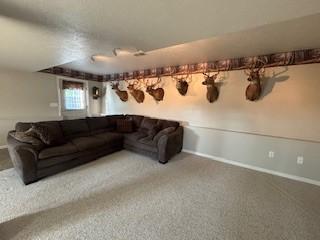 142 Poorbaugh Rd, Bullskin Twp, PA 15425 - carpeted living area featuring baseboards