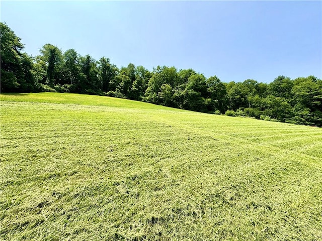 4404 Hollow Rd, Shenango Twp Law, PA 16101 - view of grassy yard with a view of countryside