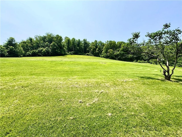 4404 Hollow Rd, Shenango Twp Law, PA 16101 - view of green lawn