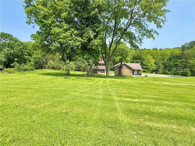 4404 Hollow Rd, Shenango Twp Law, PA 16101 - view of grassy yard with a wooded view