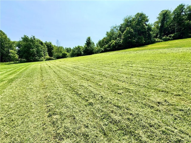 4404 Hollow Rd, Shenango Twp Law, PA 16101 - view of green lawn with a rural view