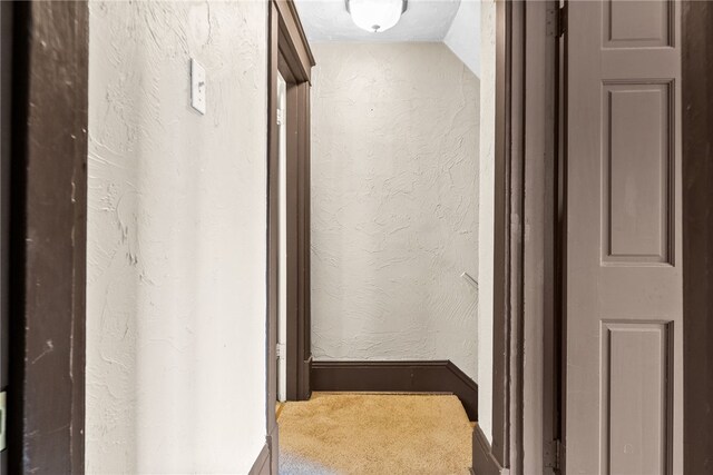 800 Romine Ave, Port Vue, PA 15133 - hall featuring carpet floors and a textured wall
