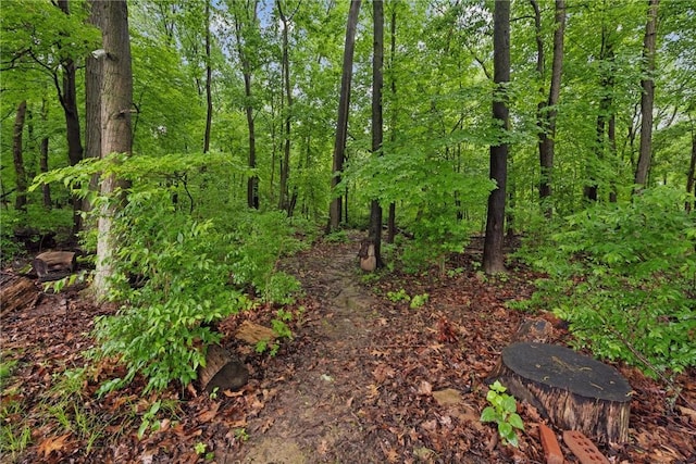 1703 Barry Dr, North Huntingdon, PA 15642 - view of nature