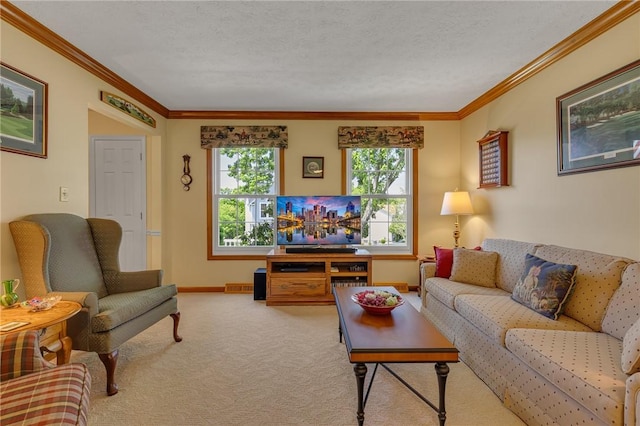 117 Bayberry Ln, Cranberry Twp, PA 16066 - living area with carpet, crown molding, baseboards, and a textured ceiling