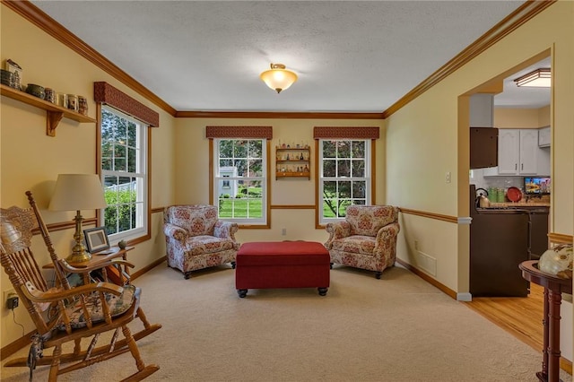 117 Bayberry Ln, Cranberry Twp, PA 16066 - living area featuring light carpet, ornamental molding, baseboards, and a textured ceiling