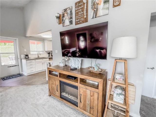 2787 Queensboro Ave, Baldwin Twp, PA 15226 - living room featuring light carpet and a high ceiling