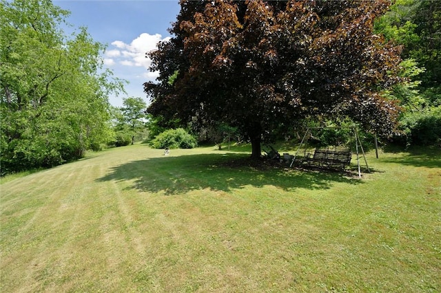 178 Sagamore Rd, Cowanshanock Twp, PA 16249 - view of grassy yard featuring view of wooded area