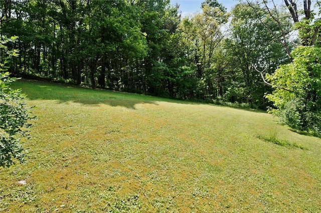 178 Sagamore Rd, Cowanshanock Twp, PA 16249 - view of grassy yard