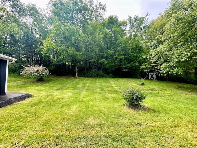 590 N Kings Creek Rd, Pa, PA 15021 - view of green lawn