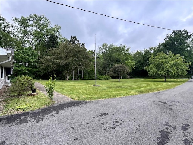 590 N Kings Creek Rd, Pa, PA 15021 - view of home's community with a lawn