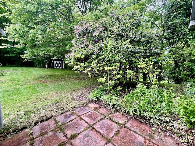 590 N Kings Creek Rd, Pa, PA 15021 - view of green lawn