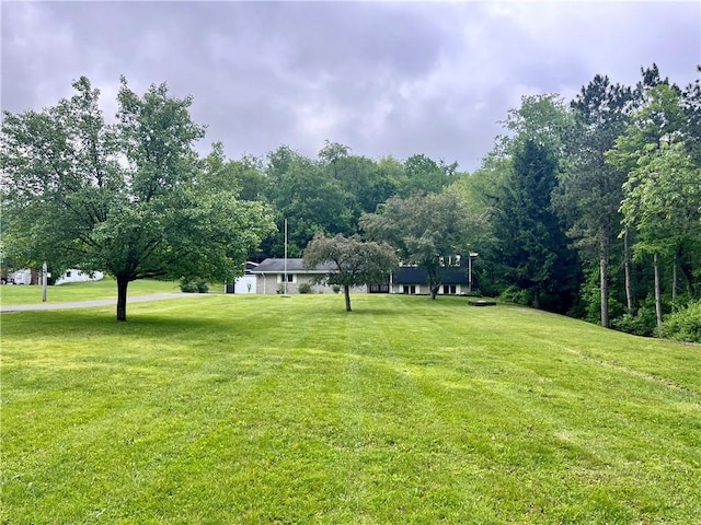 590 N Kings Creek Rd, Pa, PA 15021 - view of green lawn