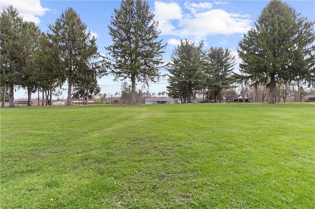 507 Moss Ln, Pymatuning Twp, PA 16125 - view of green lawn