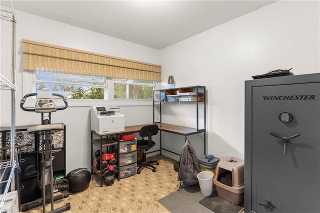 507 Moss Ln, Pymatuning Twp, PA 16125 - view of storage