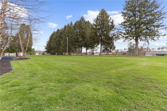 507 Moss Ln, Pymatuning Twp, PA 16125 - view of grassy yard