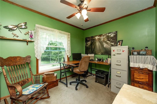 214 Fullingmill Rd, Jefferson Twp Mer, PA 16137 - office with crown molding, carpet floors, ceiling fan, and baseboards