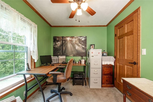214 Fullingmill Rd, Jefferson Twp Mer, PA 16137 - office area with carpet floors, ceiling fan, and ornamental molding