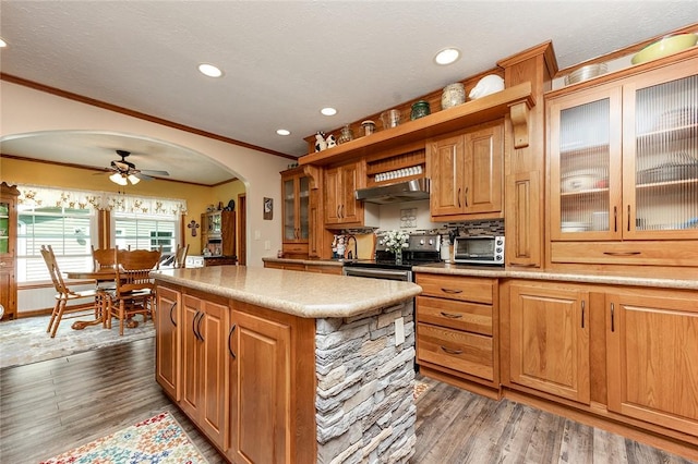 214 Fullingmill Rd, Jefferson Twp Mer, PA 16137 - kitchen featuring arched walkways, extractor fan, stainless steel range with electric cooktop, crown molding, and wood finished floors