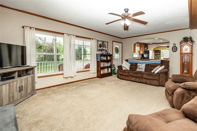 214 Fullingmill Rd, Jefferson Twp Mer, PA 16137 - living area featuring arched walkways, carpet flooring, a ceiling fan, plenty of natural light, and crown molding